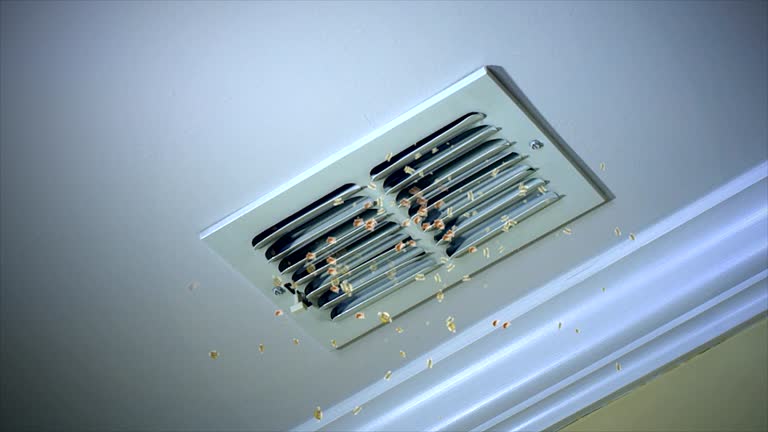 Best Affordable Air Duct Cleaning  in Moreauville, LA